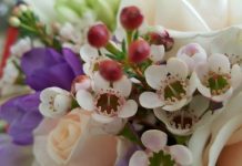 ΑΝΘΟΣΤΟΛΙΣΜΟΣ ΓΑΜΟΥ – Τί πρέπει να προσέξεις