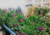 Φυτέψτε στο μπαλκόνι σας – Δημιουργήστε τον δικό σας μικρό παράδεισο