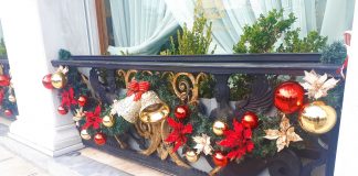Είδαμε και μας άρεσε 12/2019